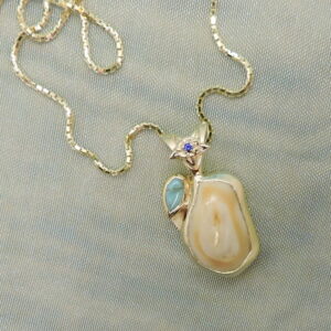 Elk Tooth & Turqoise Pendant